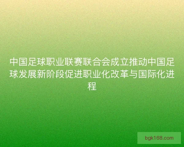 中国足球职业联赛联合会成立推动中国足球发展新阶段促进职业化改革与国际化进程