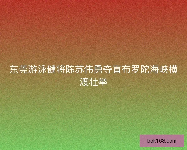 东莞游泳健将陈苏伟勇夺直布罗陀海峡横渡壮举